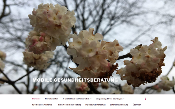 mobile-gesundheitsberatung.de