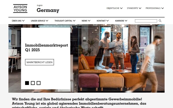 www.avisonyoung.de