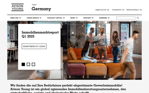 www.avisonyoung.de