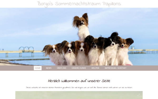 meinepapillons.net
