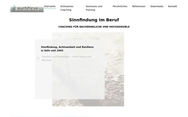 sinnfindung-im-beruf.de