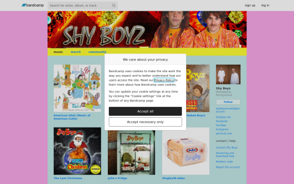 shyboyz.bandcamp.com
