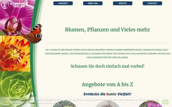 www.blumenwelt-thielen.de