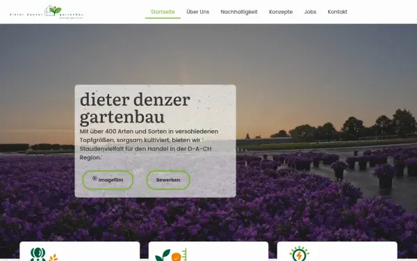 denzer.de