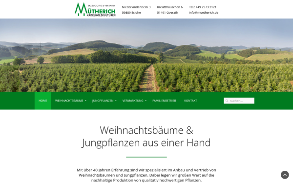 muetherich.de