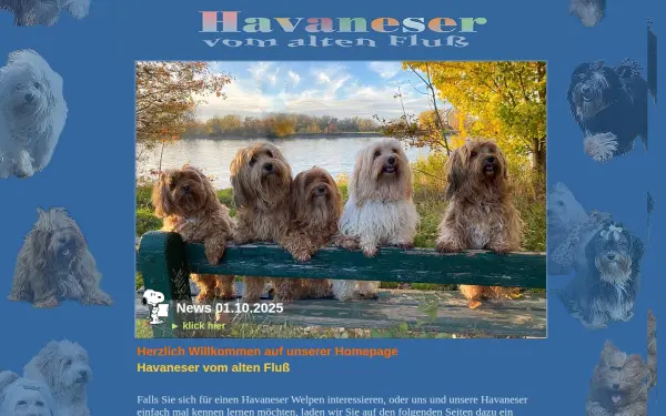 havaneser-vom-alten-fluss.de