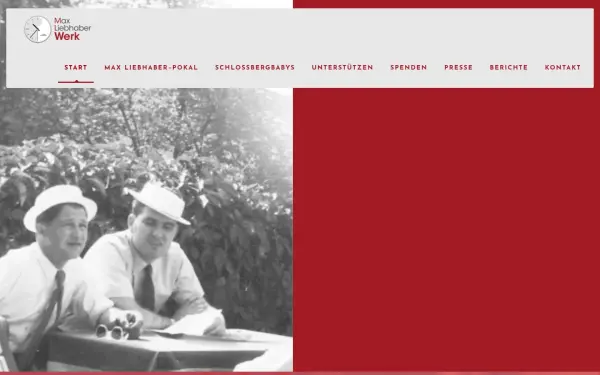 www.mlwerk.de