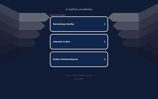 e-native.academy