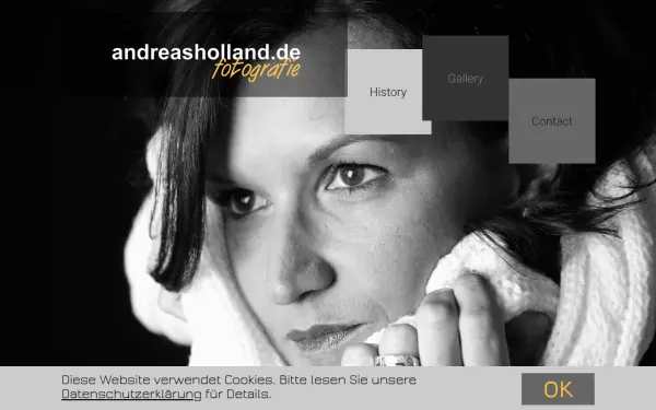 andreasholland.de