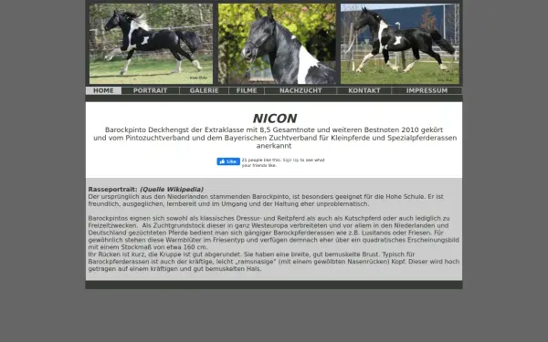 barockpinto-deckhengst.de