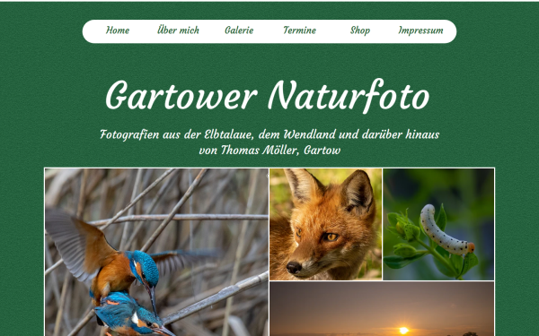 moeller-gartow.de