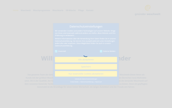 gmuender-waschwelt.de