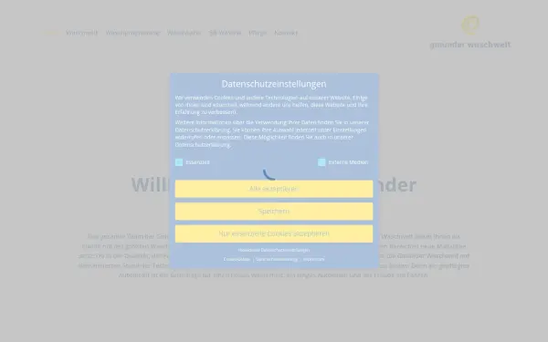 gmuender-waschwelt.de