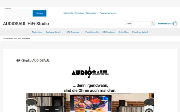 audiosaul.de