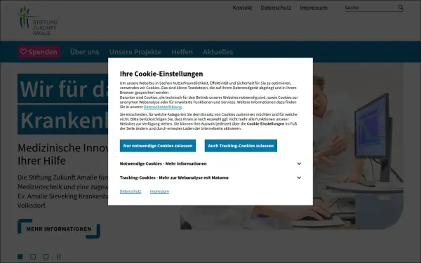 amalie-stiftung.de