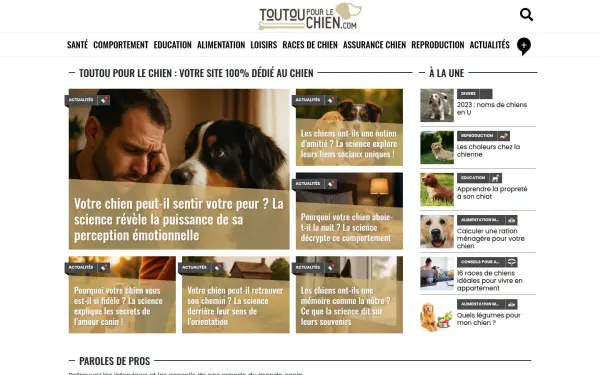 www.toutoupourlechien.com