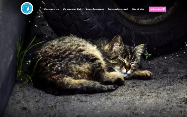 www.jetzt-katzen-helfen.de