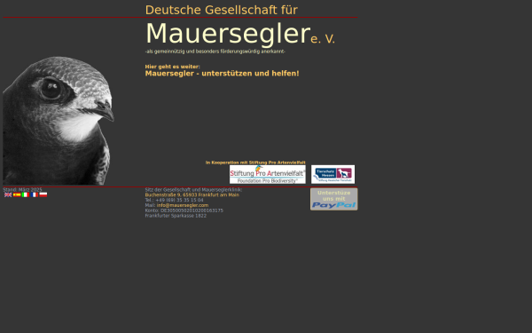 www.mauersegler.com