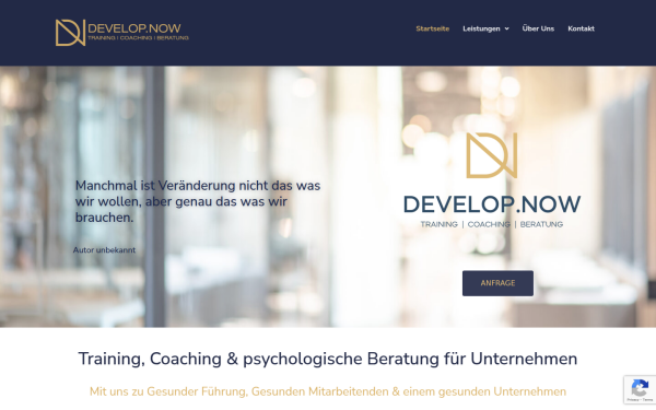 www.developnow.de