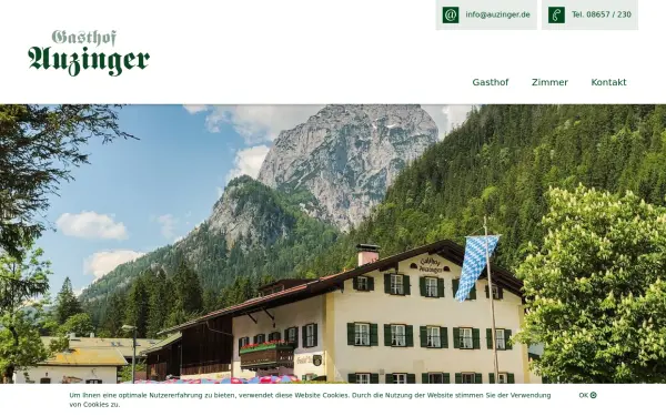 www.auzinger.de