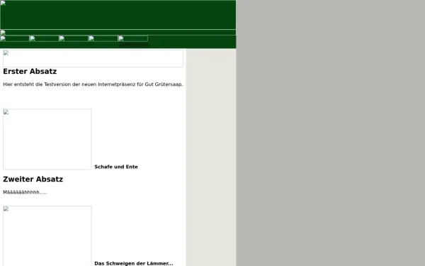 goersmeyer.de