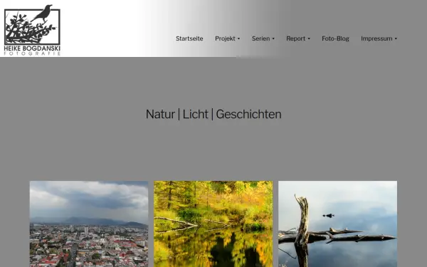 heikebogdanski.de