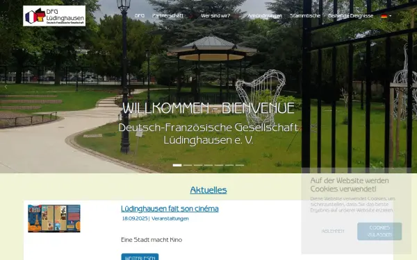 dfg-luedinghausen.de