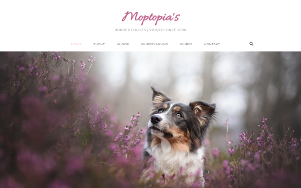 www.moptopia.de