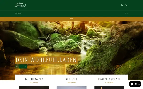 diefaehre.de