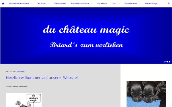 mein-briard.de