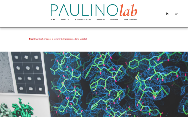 www.paulinolab.com