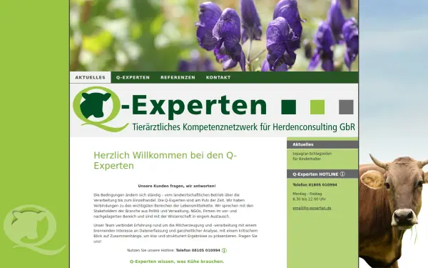 q-experten.cs-sys.net