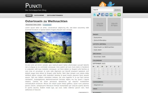 www.punkti.de