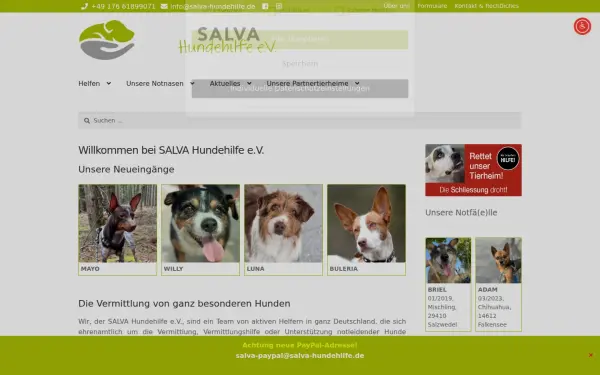 salva-hundehilfe.de