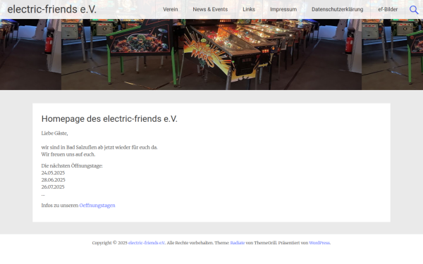 www.electric-friends.de