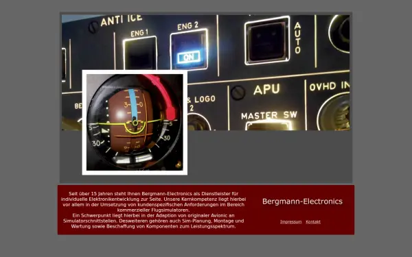 bergmann-electronics.com
