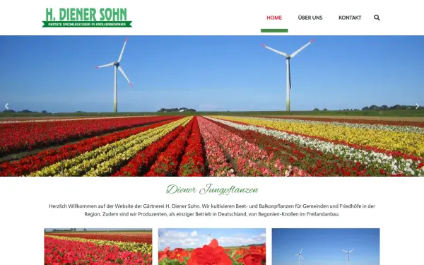 diener-jungpflanzen.de