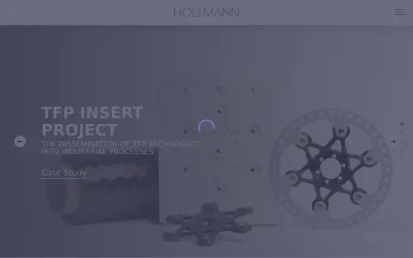 hollmann.ag