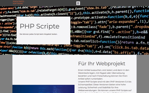 systemsoftware.biz