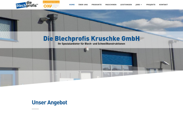 dieblechprofis.de