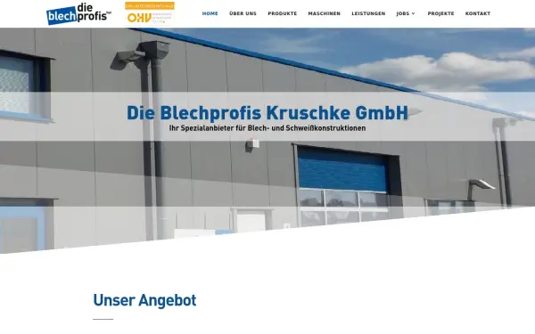 dieblechprofis.de