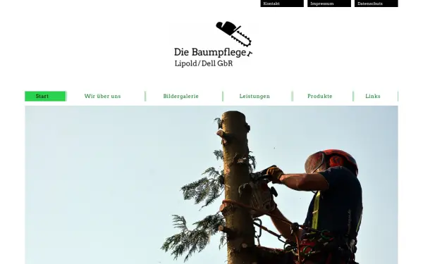 diebaumpfleger.de