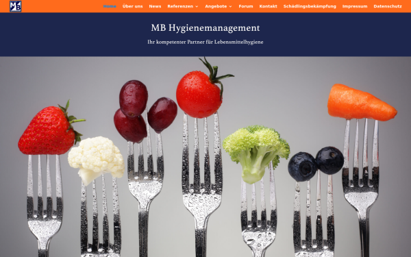 mb-hygienemanagement.de