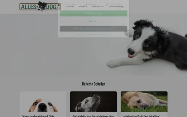 alles-dog.de