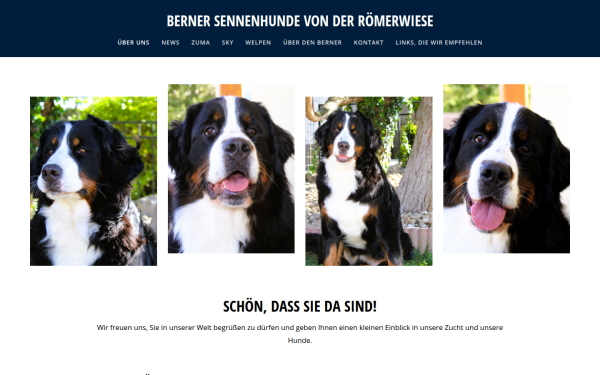 www.roemerwiese.at
