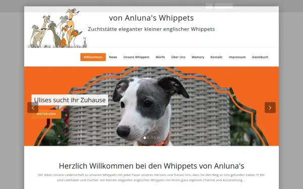 anlunas-whippets.de