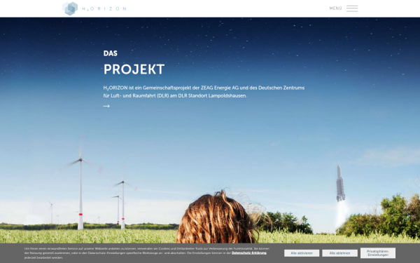 www.h2orizon.de