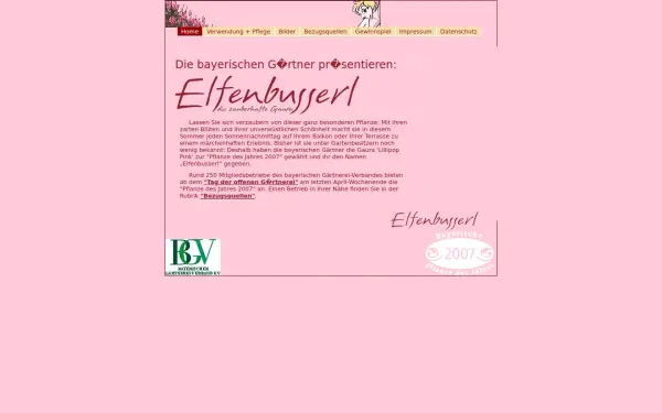 elfenbusserl.de