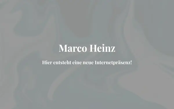 heinzgroup.de