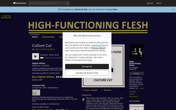 highfunctioningflesh.bandcamp.com